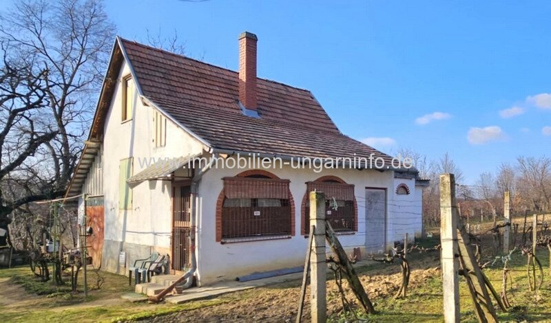 Somogy Vármegye: Bewohnbares Keller-/Wochenendhaus im Weinberg Marcali 