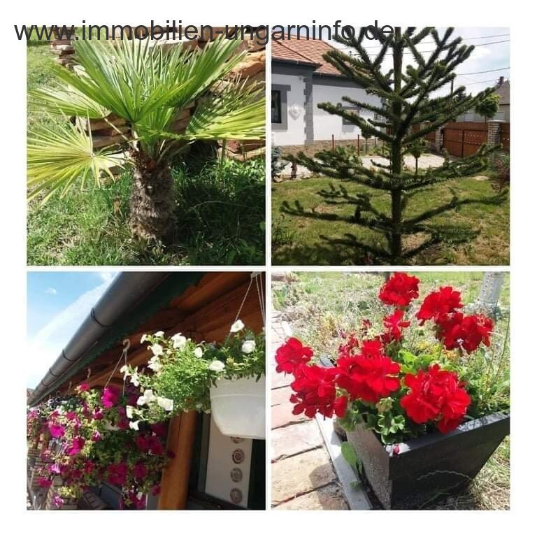 Renoviertes Einfamilienhaus im Komitat Somogy, nähe Kaposvár