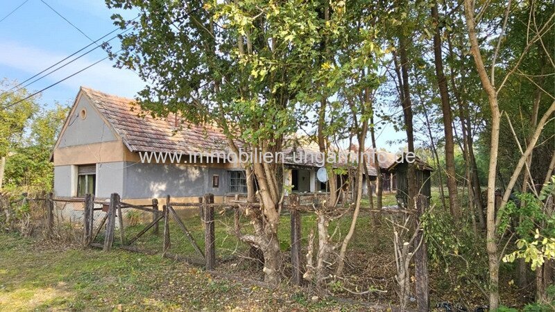 Somogy Vármegye: Bauernhaus am Rande des Waldes, großes Grundstück 