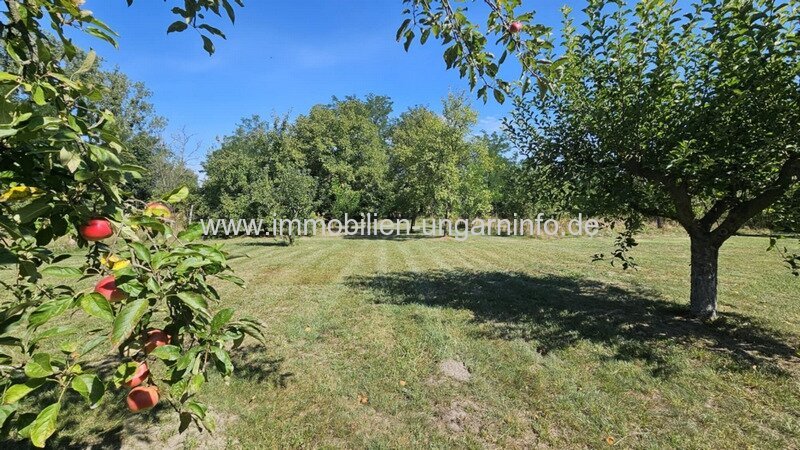 In der Weinregion Somló (Komitat Veszprém) stehen 2 Häuser zum Preis von einem zum Verkauf.