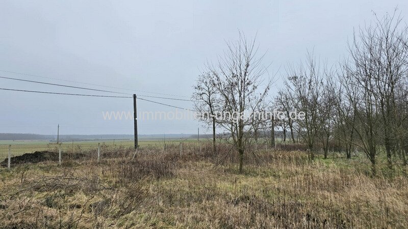 0,68 Hektar großes Grundstück in der Balaton-Region zu verkaufen