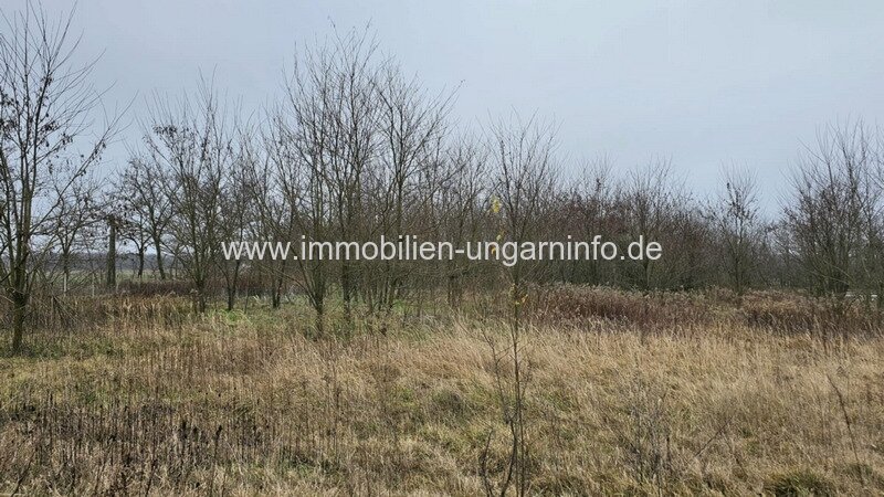 0,68 Hektar großes Grundstück in der Balaton-Region zu verkaufen