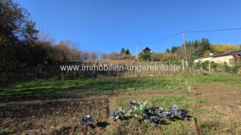 In Nagykanizsa, in der Nähe des Sees, steht ein bewohnbares Wochenendhaus mit großem Grundstück zum Verkauf