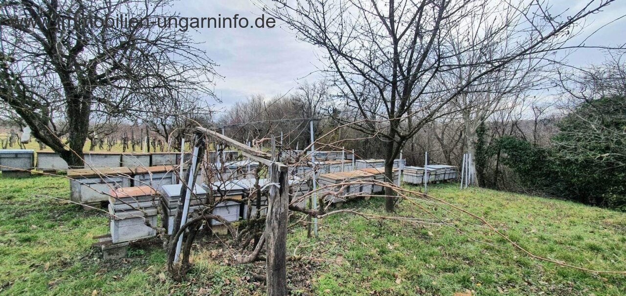 Grundstück in den Weinbergen von Marcali zu verkaufen