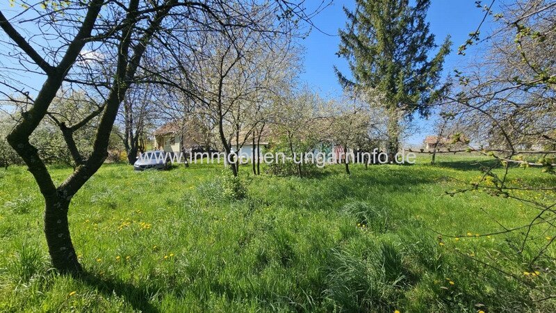In Marcali Weinberg (Balaton 14 km) komfortables Keller/Wochenendhaus mit Nebengebäude