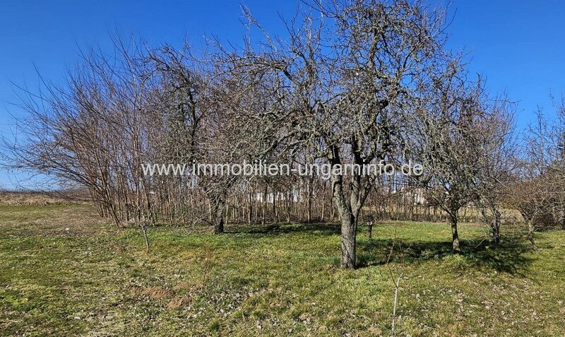 In den Weinbergen von Marcali Keller/Ferienhaus auf Panoramagrundstück zu verkaufen
