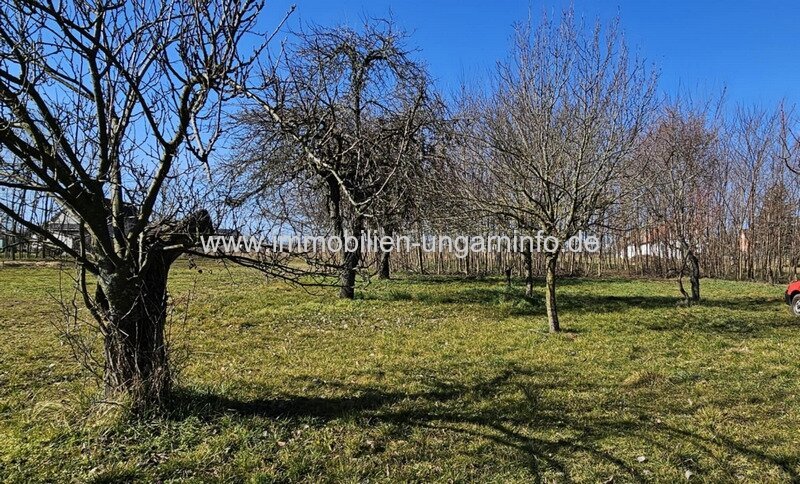 In den Weinbergen von Marcali Keller/Ferienhaus auf Panoramagrundstück zu verkaufen