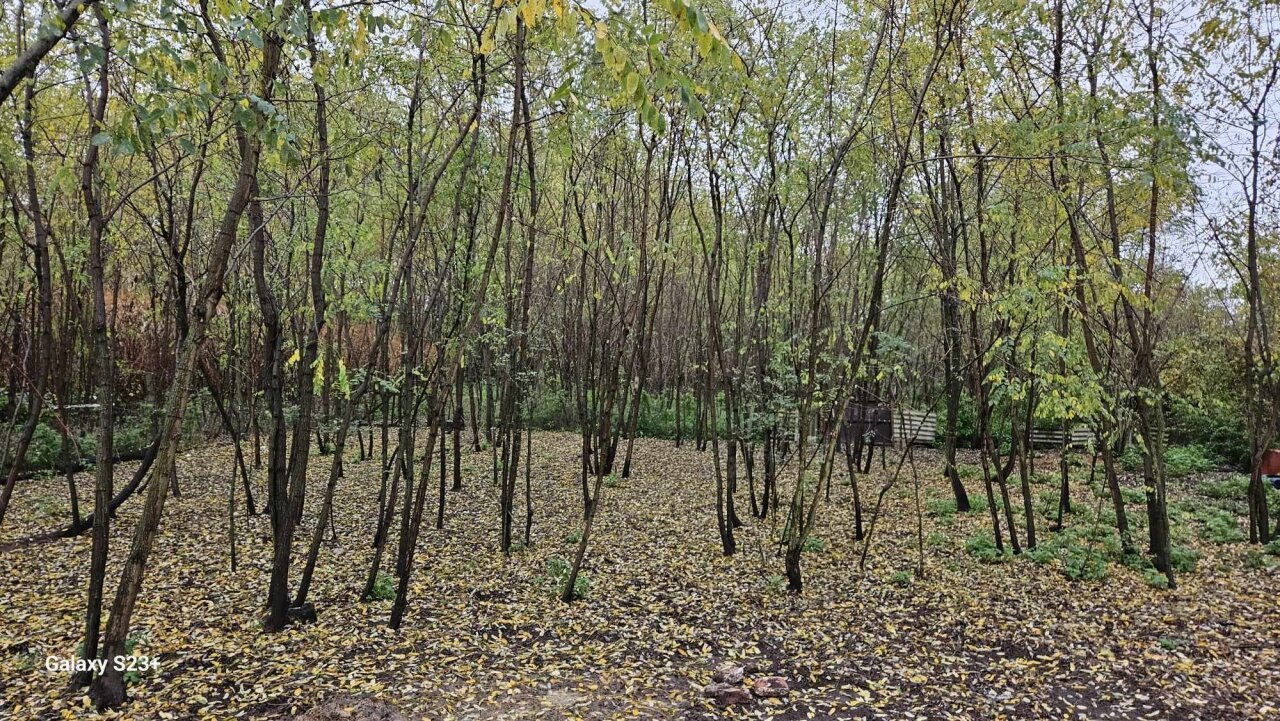 Einfamilienhaus mit großem Grundstück und Wald in der Nähe des Plattensees