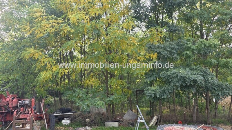 Dorffamilienhaus südlich des Plattensees