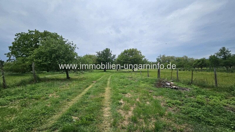 Bauernhaus 14 km vom Plattensee entfernt