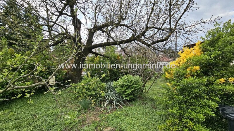 Kleinstadt im Komitat Zala (20 km vom Plattensee) Einfamilienhaus zu verkaufen