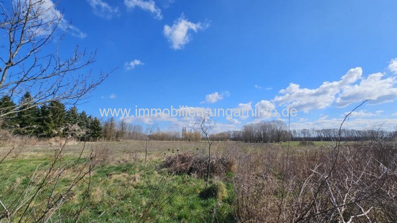 Einfamilienhaus in Marcali / Plattensee 12 km