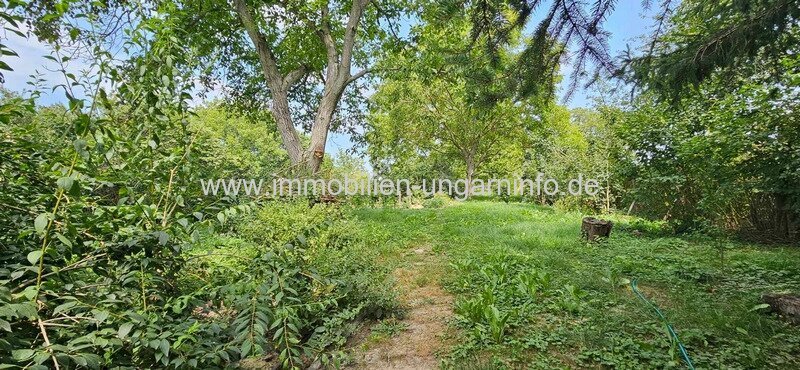 Einfamilienhaus mit 3 Werkstätten für sofortigen Umzug verfügbar