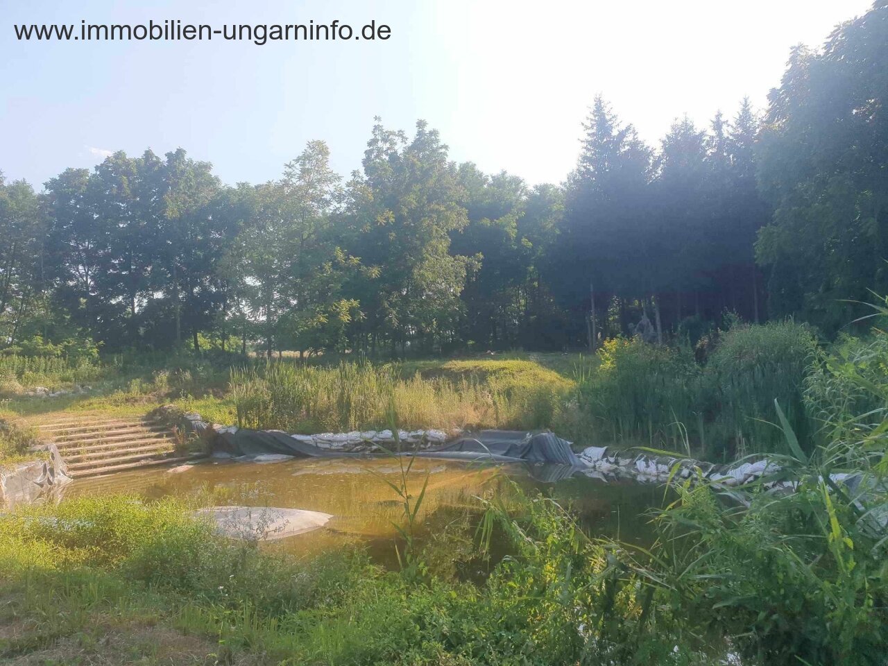 Zu verkaufen 3,2 Hektar großes Familienanwesen mit 3 Häusern, Pool, See, Wald