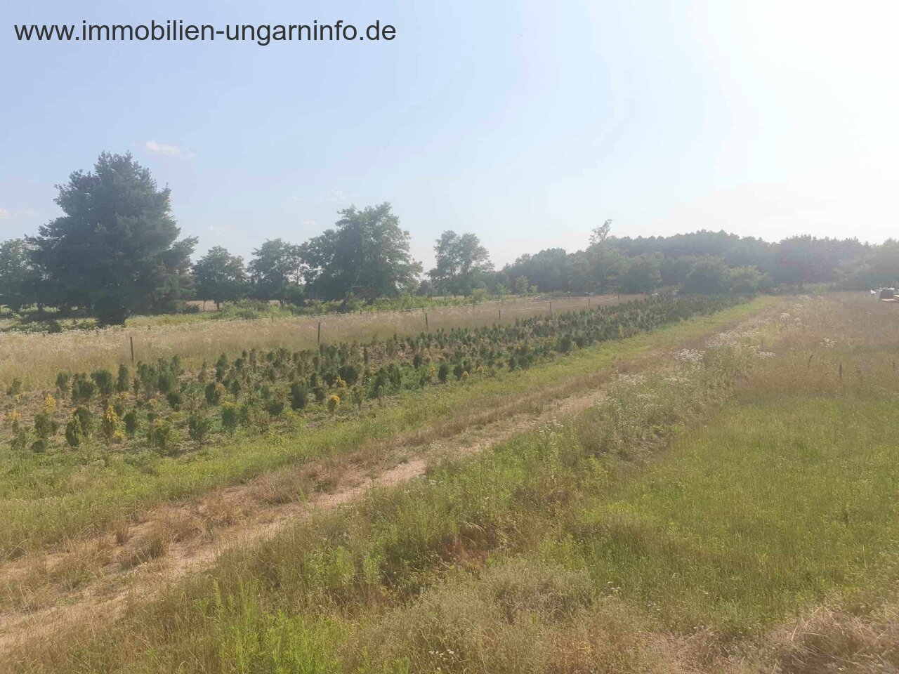 Zu verkaufen 3,2 Hektar großes Familienanwesen mit 3 Häusern, Pool, See, Wald