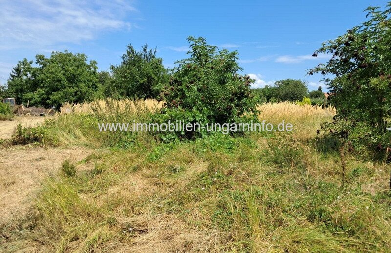 Weinkeller/Presshaus im Weinberg von Szigetvár zu verkaufen