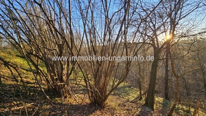 Wochenendhaus mit Keller im Komitat Somogy