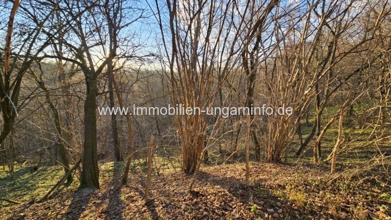 Wochenendhaus mit Keller im Komitat Somogy
