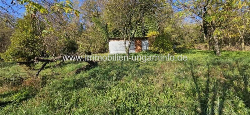 0,45 Hektar geschlossene Garten mit guter Aussicht, in der Nähe der Thermalbäder zu verkaufen in Marcali