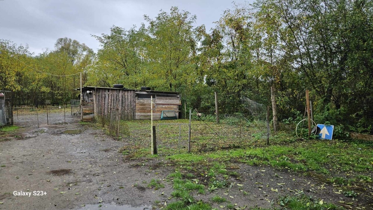 Einfamilienhaus mit großem Grundstück und Wald in der Nähe des Plattensees