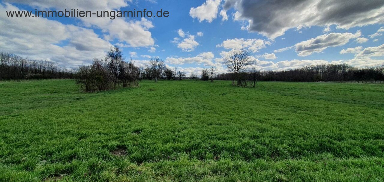 250 m² Gebäude mit 0,5 Hektar Grundstück in der Nähe des Plattensees zu verkaufen