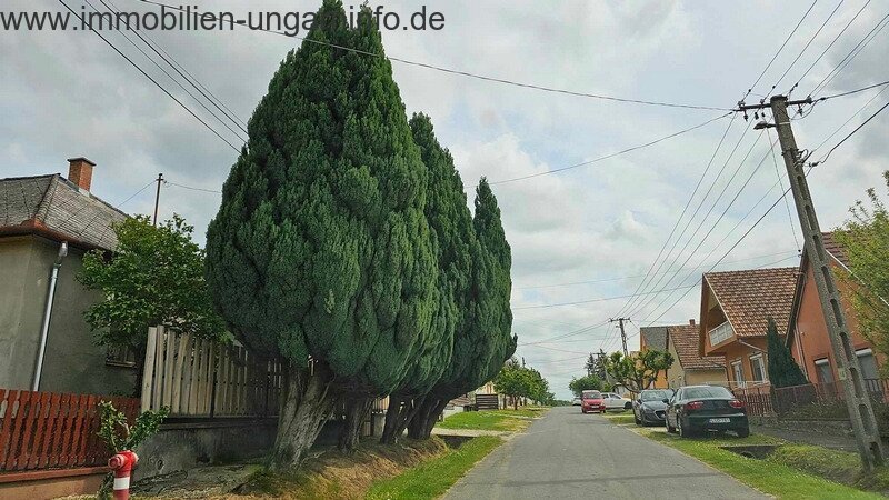 15 km vom Plattensee entfernt Einfamilienhaus mit 0,7 ha Grundstück zu verkaufen