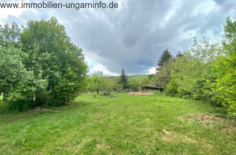 15 km vom Plattensee entfernt Einfamilienhaus mit 0,7 ha Grundstück zu verkaufen