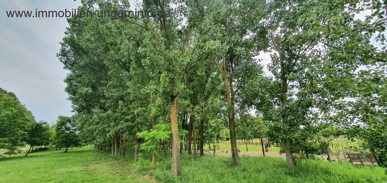 Einfamilienhaus mit Wald in einer Kleinstadt am Plattensee zu verkaufen