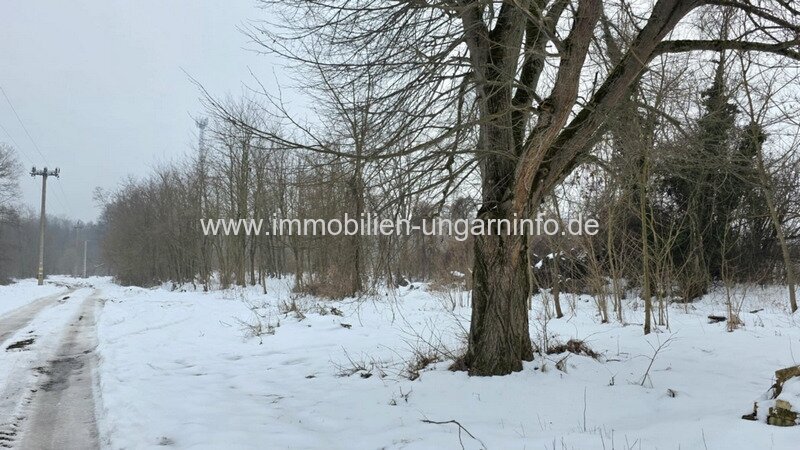 Einfamilienhaus mit neuem Dach, in Renovierung