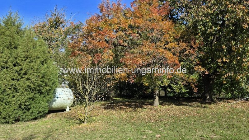 Naturverbundenes Haus mit großem Grundstück in der Nähe des Plattensees