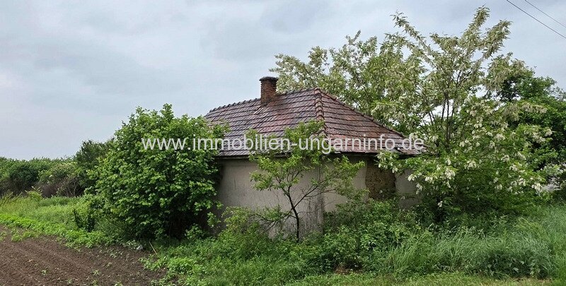 Familienhaus im Landhausstil am Dorfrand mit großem Grundstück zu verkaufen  