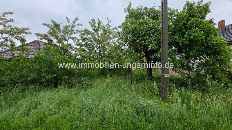 Familienhaus im Landhausstil am Dorfrand mit großem Grundstück zu verkaufen