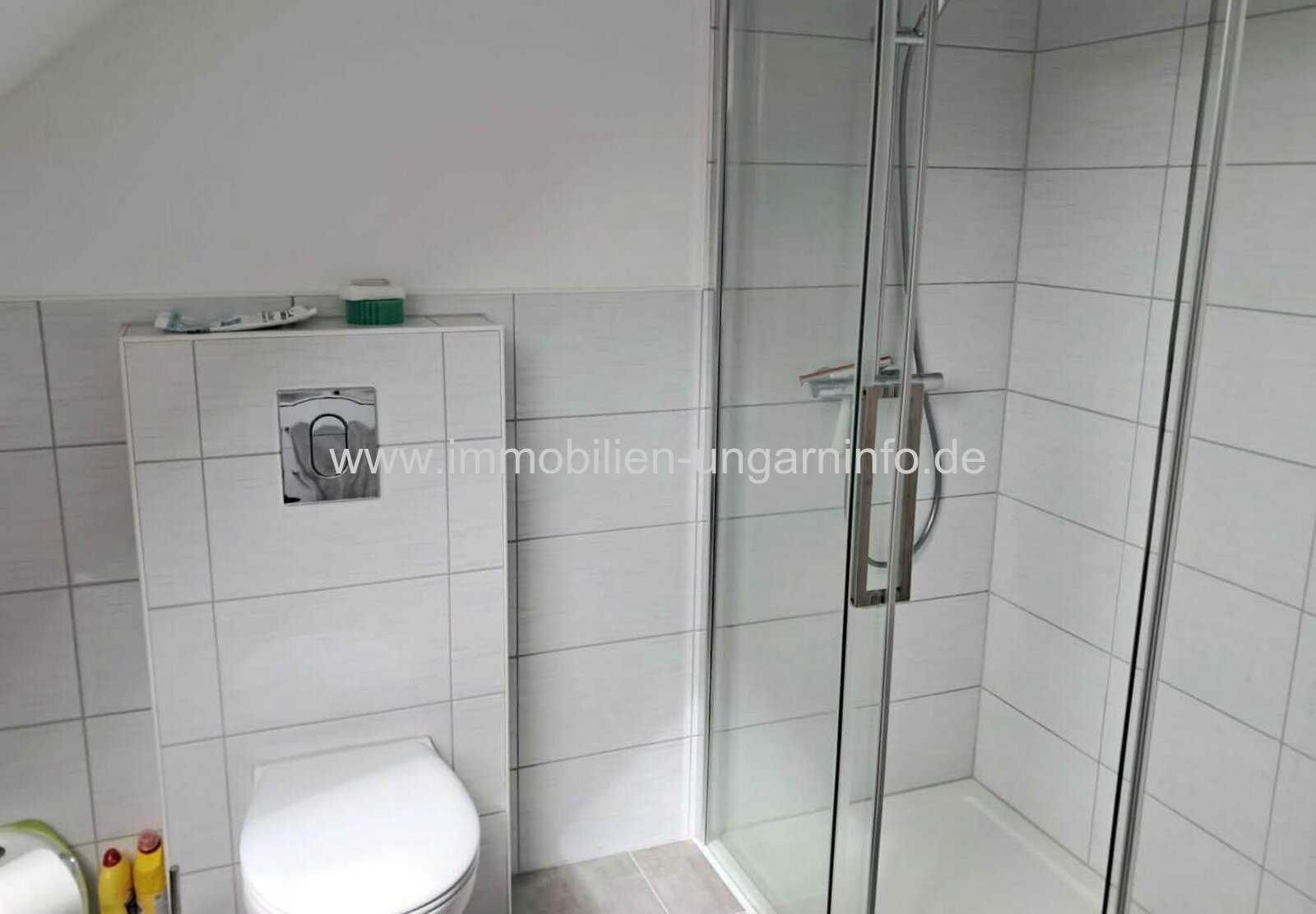 Komplett renoviertes Einfamilienhaus in Nemesvid mit ca. 9.000 m² Grundstück zu verkaufen