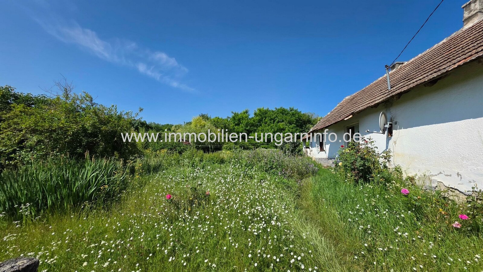 Einfamilienhaus in Szenyér, Komitat Somogy, zu verkaufen 