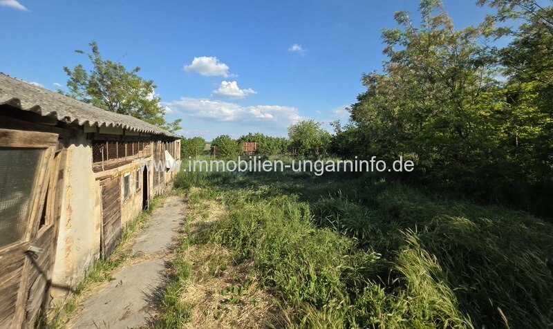 In Balatonszabadi steht ein Zweifamilienhaus mit großem Grundstück zum Verkauf