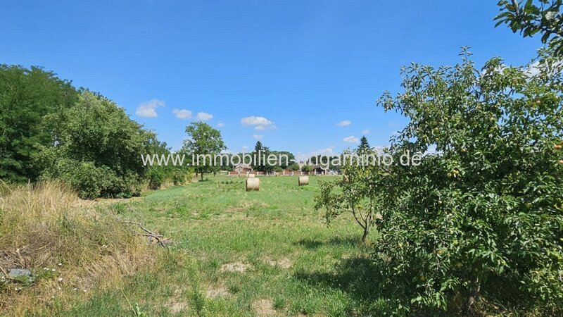 Zwei Häuser zum Preis von einem in der Nähe des Plattensees