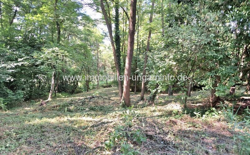 Zala Vármegye: Geschlossene Garten mit See und Wald in der Nähe von Nagykanizsa zu verkaufen 