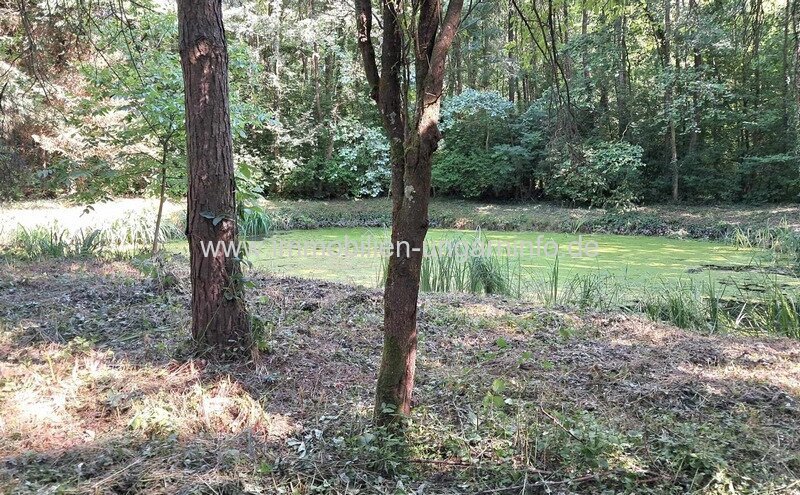 Geschlossene Garten mit See und Wald in der Nähe von Nagykanizsa zu verkaufen