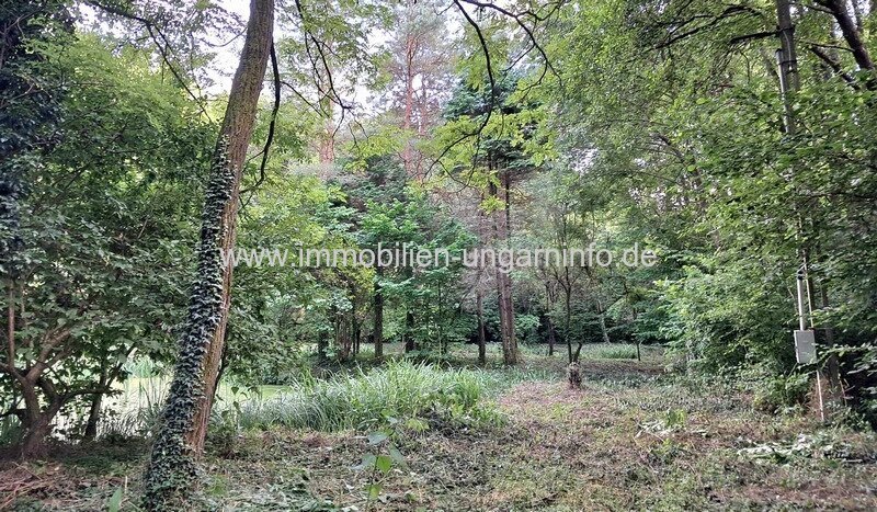 Geschlossene Garten mit See und Wald in der Nähe von Nagykanizsa zu verkaufen