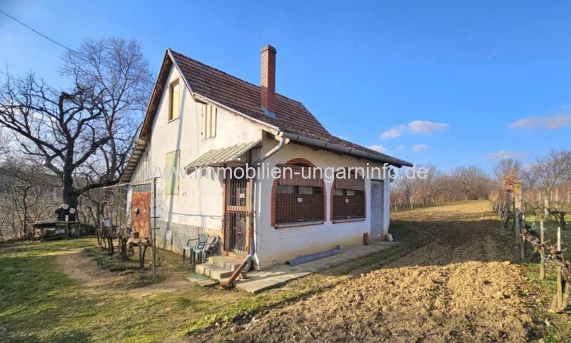 Bewohnbares Keller-/Wochenendhaus im Weinberg Marcali