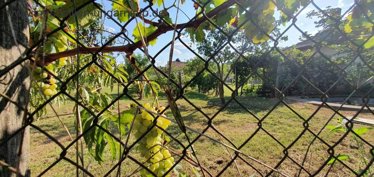 Südlich des Plattensees gut erhaltenes Einfamilienhaus mit großem Grundstück zu verkaufen