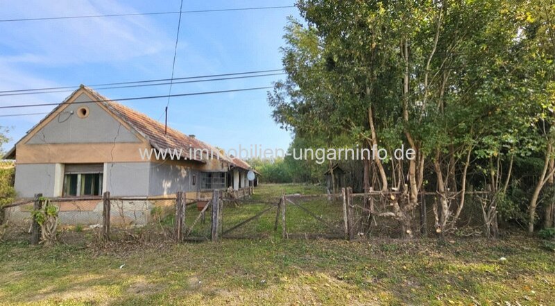 Bauernhaus am Rande des Waldes, großes Grundstück