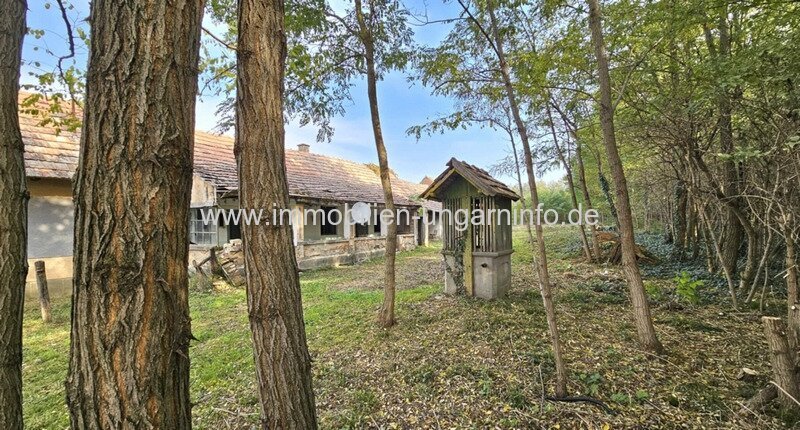Bauernhaus am Rande des Waldes, großes Grundstück