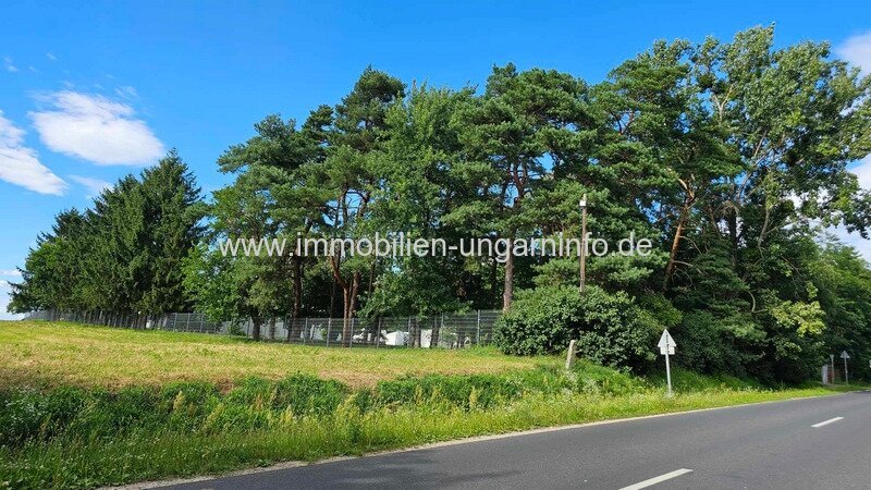 Waldhaus mit Appartements, Schwimmbad in der Nähe des Plattensees