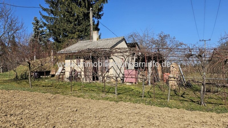 In den Weinbergen von Marcali Keller/Ferienhaus auf Panoramagrundstück zu verkaufen