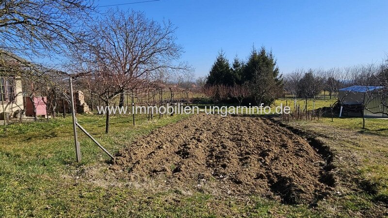 In den Weinbergen von Marcali Keller/Ferienhaus auf Panoramagrundstück zu verkaufen
