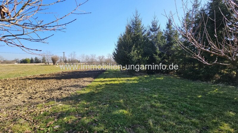 In den Weinbergen von Marcali Keller/Ferienhaus auf Panoramagrundstück zu verkaufen