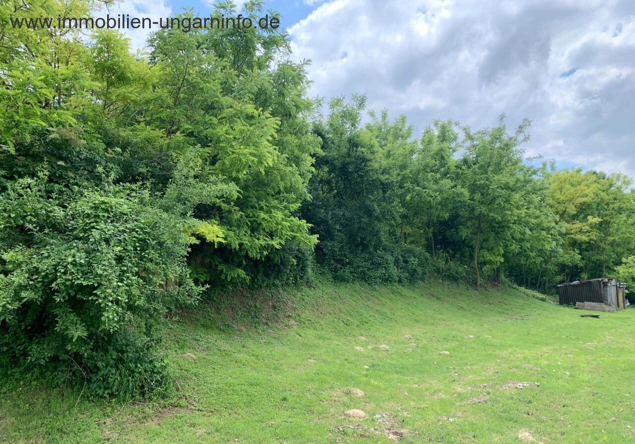 Family house for sale in a small village in Somogy county