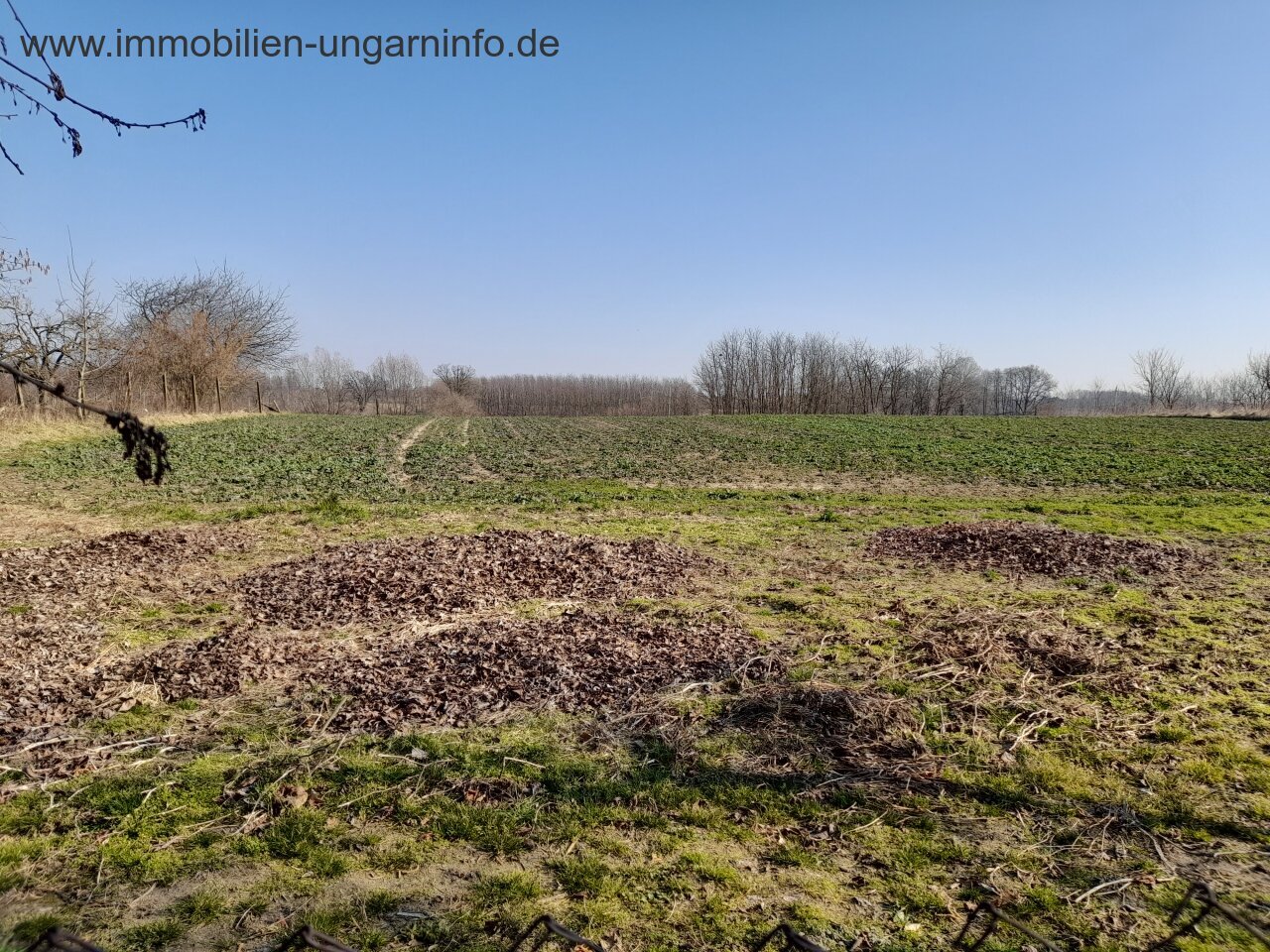 Family house for sale in a small village in Somogy county