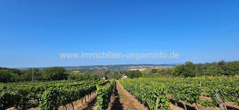 Auf der Nordseite des Plattensees in Rezi, Panorama-Weinberghäuschen zu verkaufen